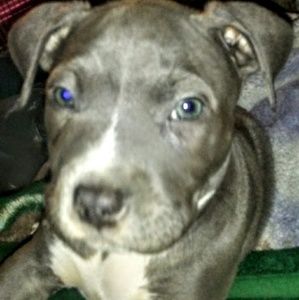 Meet your Posher, Shana